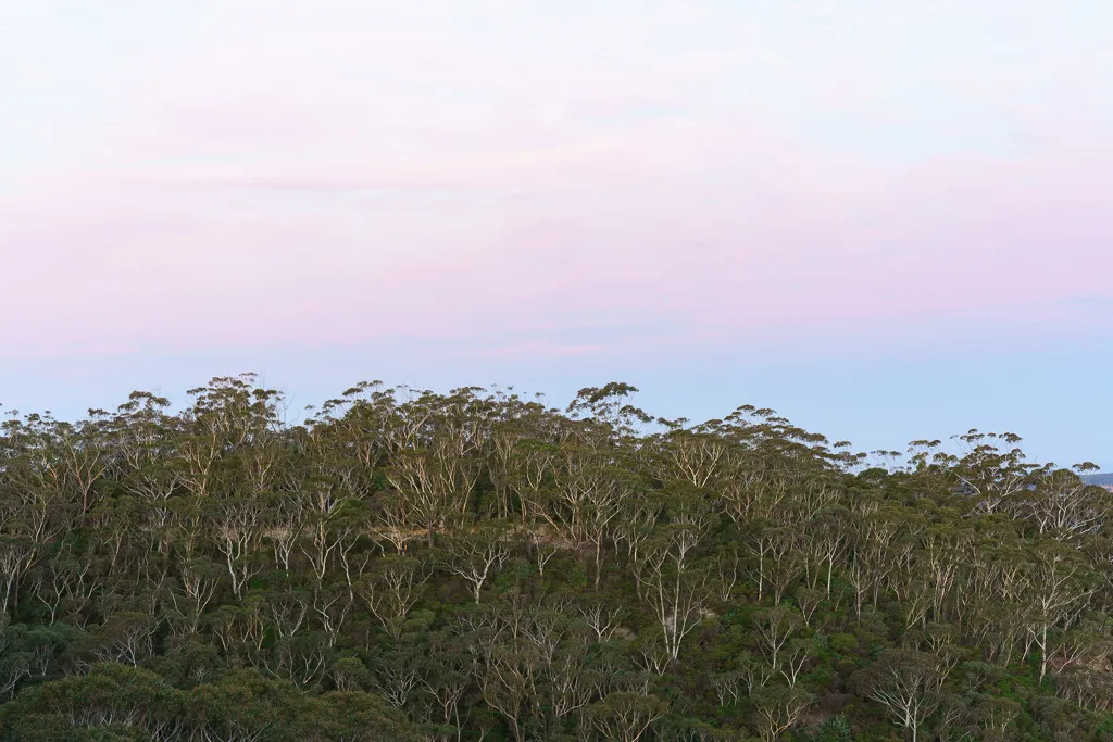 Blue Mountains