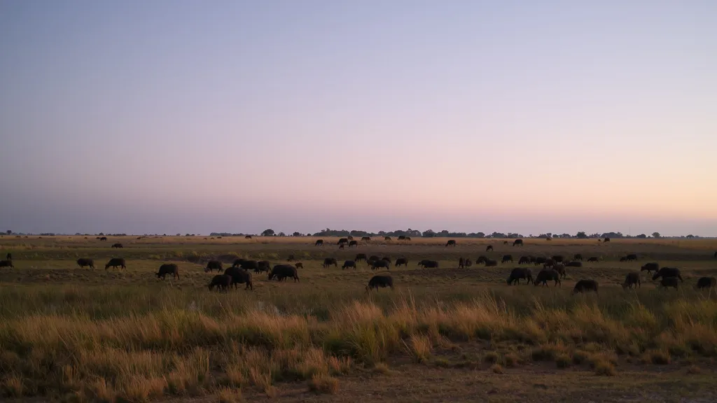 Chobe National Park